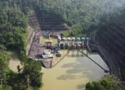 Program Unggulan PLN NP Raih Lestari Award 2025, Dirut PLN NP : Konservasi Bukan Lagi Hanya Kewajiban, Melainkan Strategi Bisnis yang Krusial