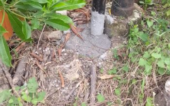 Diduga Belum Mengantongi Izin, Provider Wifi Bodong Beroperasi di Wilayah Desa Sirnajaya, Kecamatan Serang Baru Menjadi Sorotan Publik