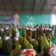 Meriah! Muslimat NU PAC Leuwiliang Gelar Lomba Pawai Antar Ranting di Peringatan Hari Santri Nasional