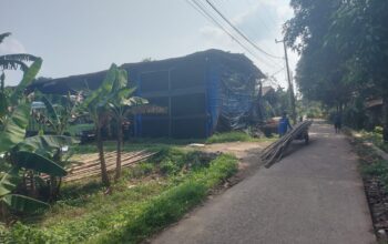 Kandang Ayam Potong di Kp. Cikarang Girang Dikeluhkan Warga dengan Bau yang Menyengat