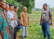 Video Viral Terkait TPU Tidak ada Akses Jalan, Kades Ciledug Sigap Menanggapinya.